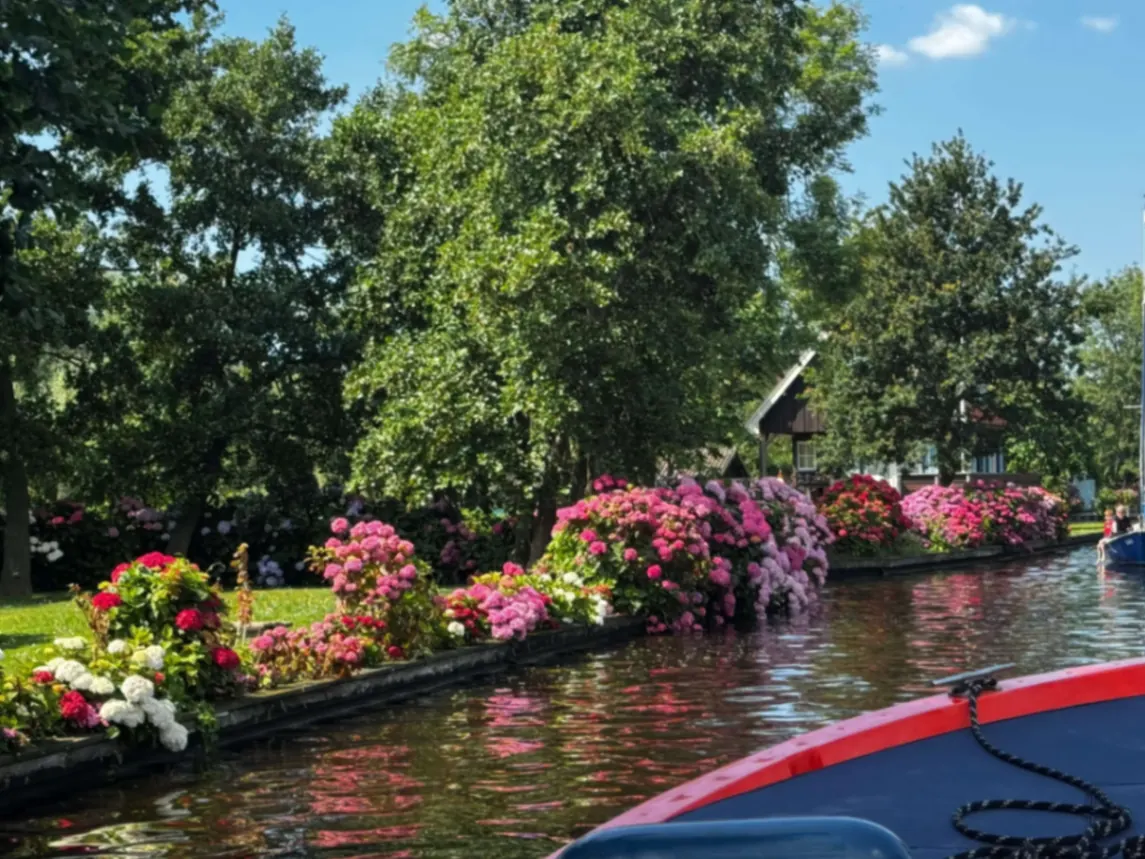 Kleurrijke hortensias aan het water langs de Vecht – gezien vanaf sloep Heerlijkdagje